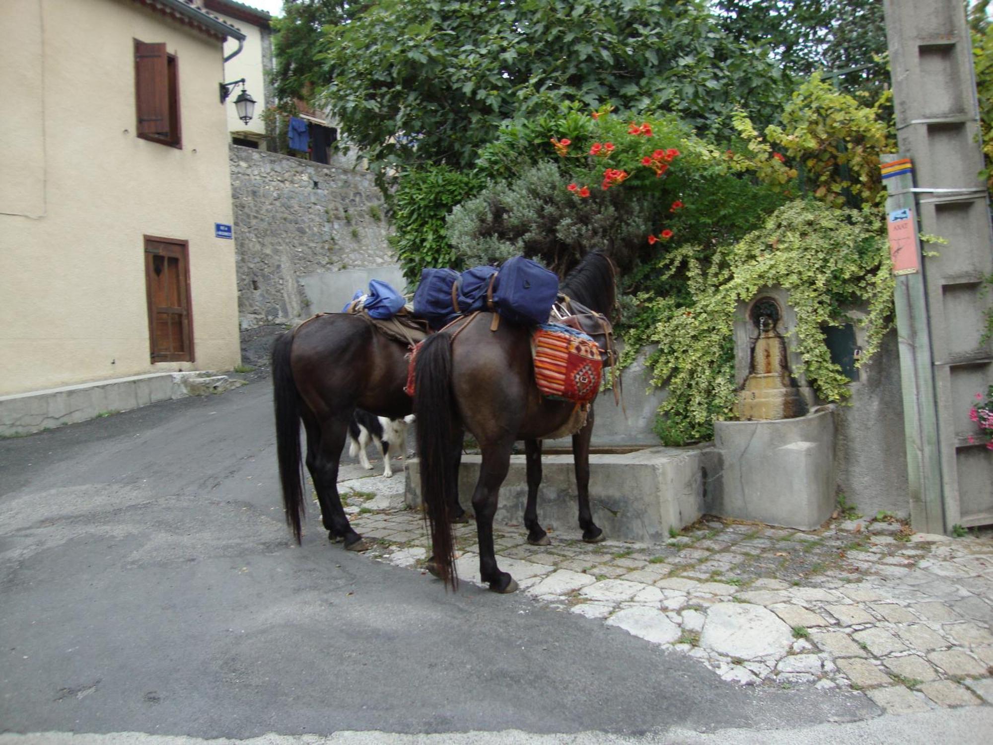Hotel Axat Bagian luar foto